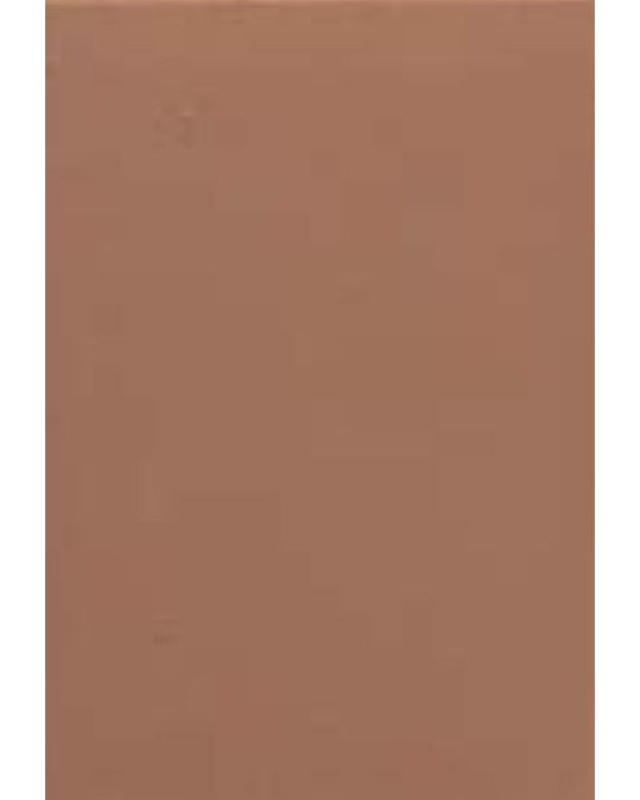 CA-7019