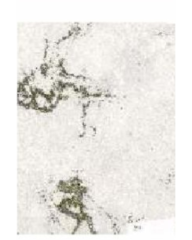 CA-9408