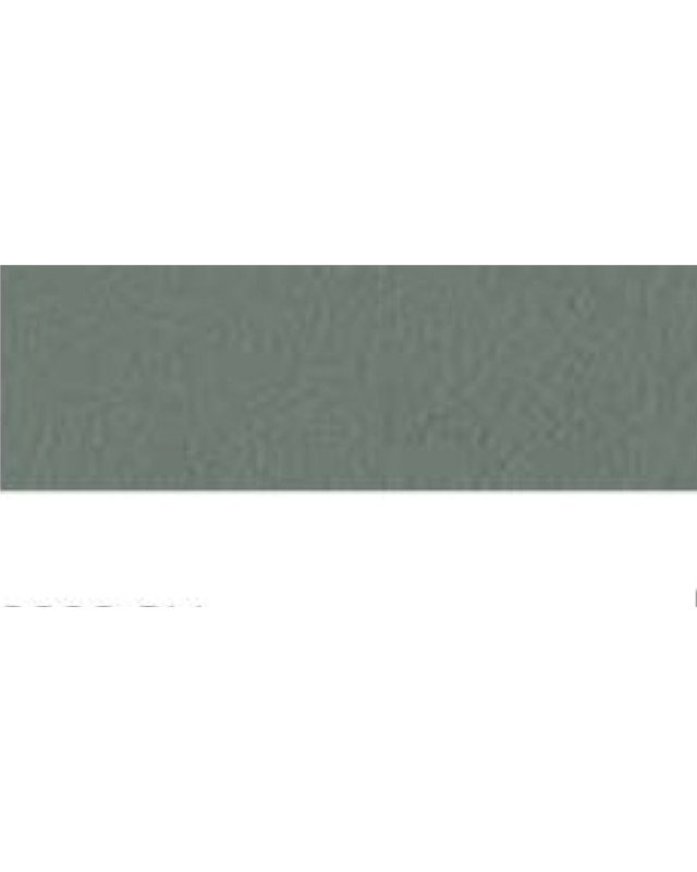 Fossil Grey (3223 SU)