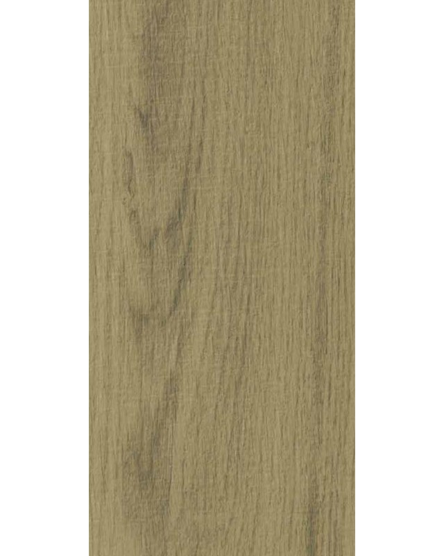 Conjo Oak (4639 EO)