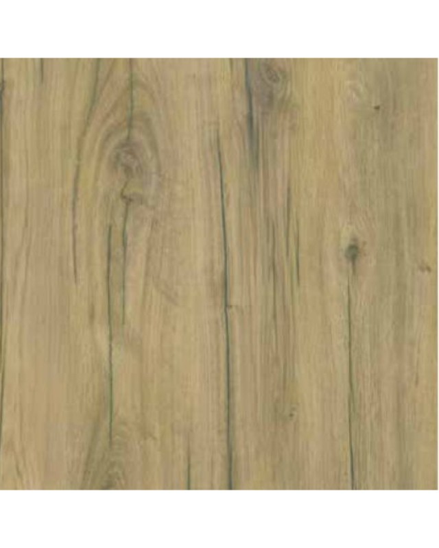 Nambia Oak (4664 KM)