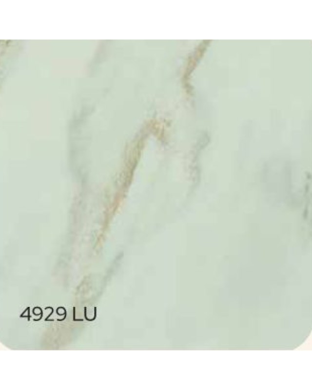 4929 LU