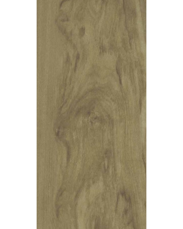 Moroccan Olive (6882 SU)