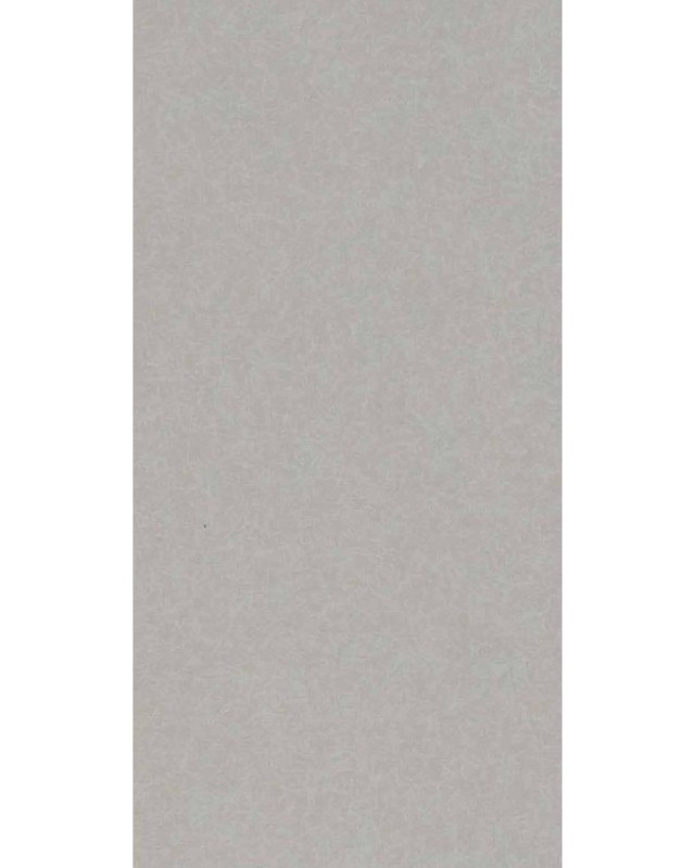 Cream Shimmer (961 TS)